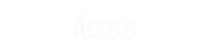 Allianzpartner_gsspng